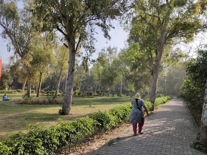 Park - 6