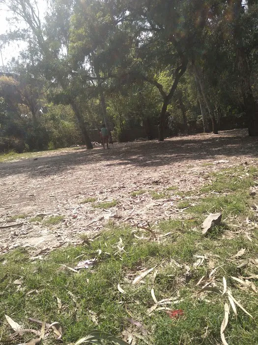 DDA Park - 1