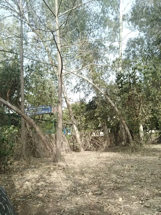 DDA Park - 2