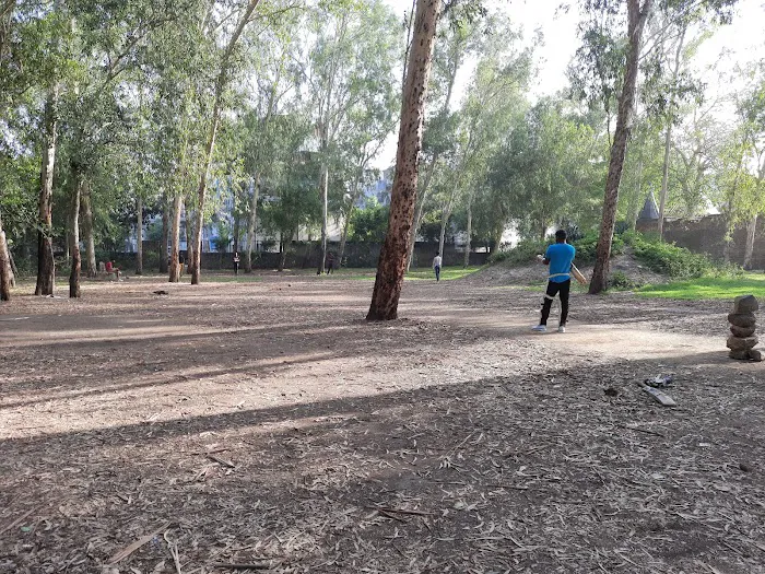 DDA Park - 5
