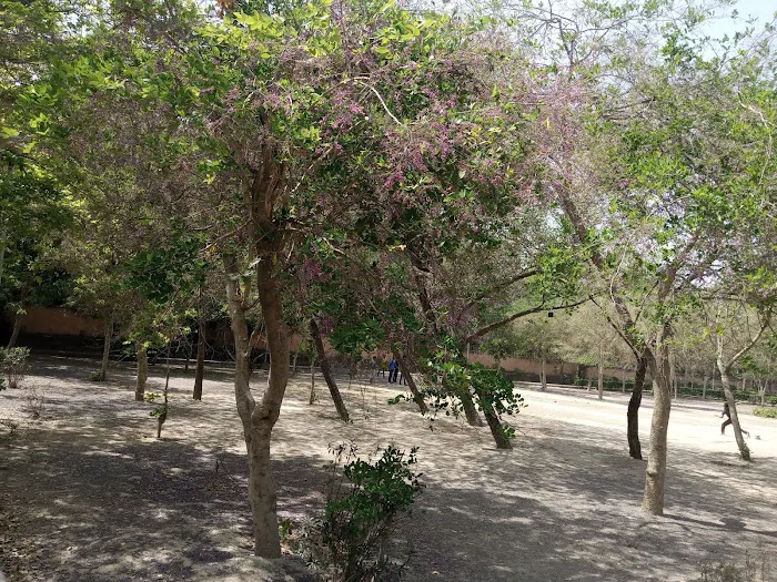 DDA Park - 0