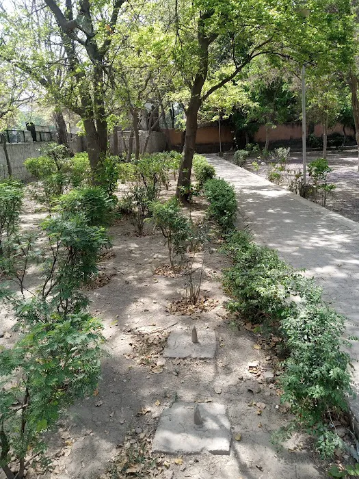 DDA Park - 2