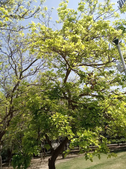 DDA Park - 6