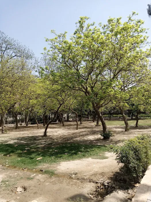 DDA Park - 9