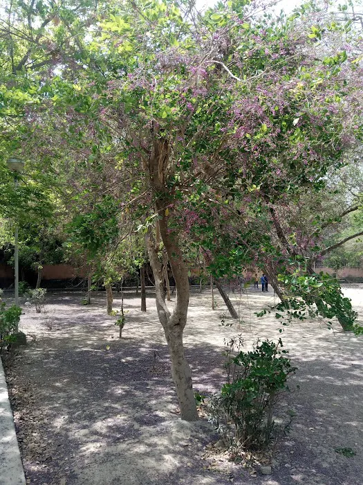 DDA Park - 7