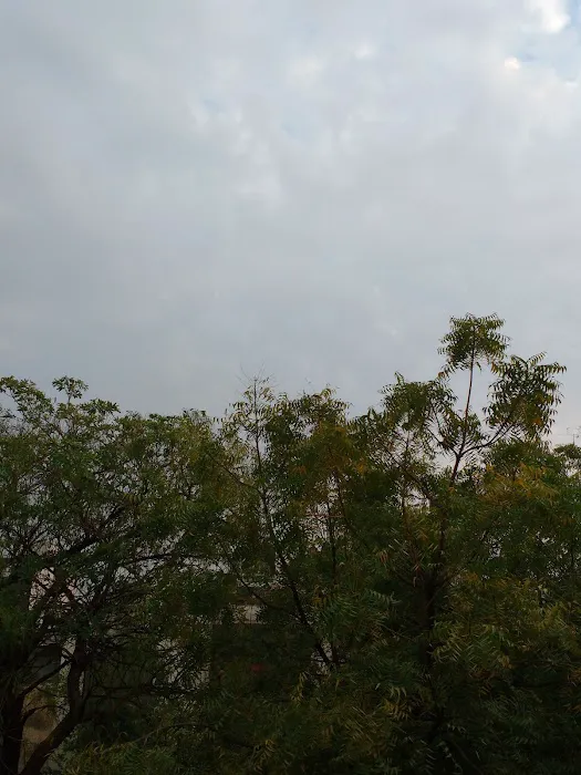 Gagan Vihar Local Park - 9