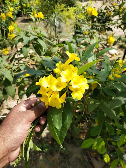 Gagan Vihar Garden - 7
