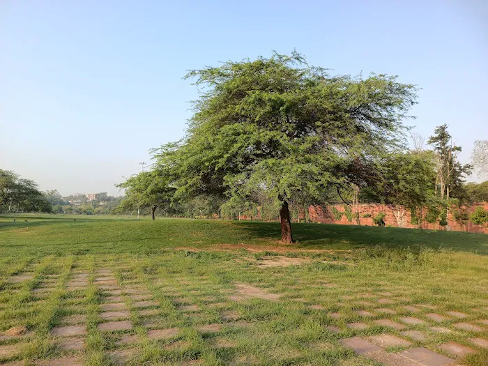 Delhi Chalo Park - 3