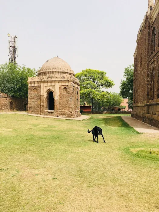 Tomb Garden - 6
