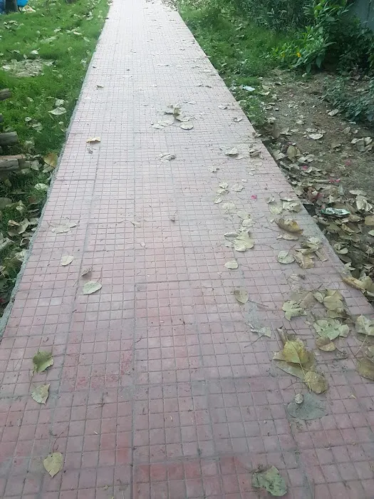A Block Public Park - 2