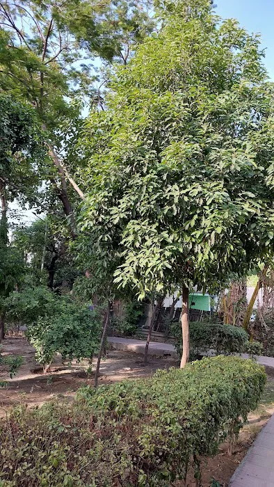 A BLOCK PARK, SECTOR-20 - 2