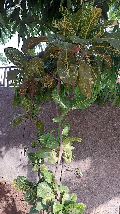A BLOCK PARK, SECTOR-20 - 3
