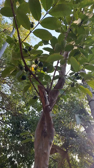 A BLOCK PARK, SECTOR-20 - 4