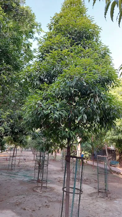 A BLOCK PARK, SECTOR-20 - 8
