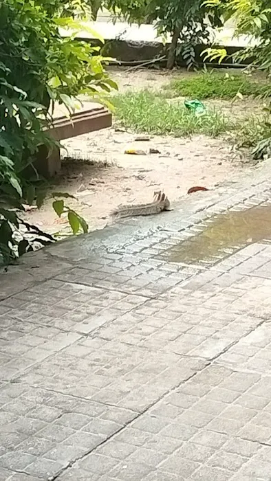 Jagat Ram Park - 2
