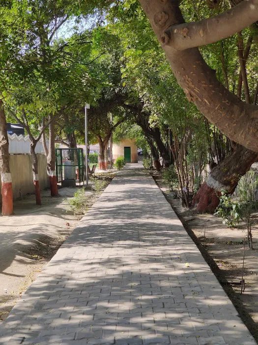 Nebarhood park , nehru enclave - 7
