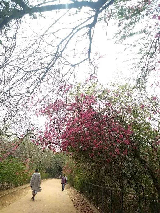 Chatri Wala Park - 2