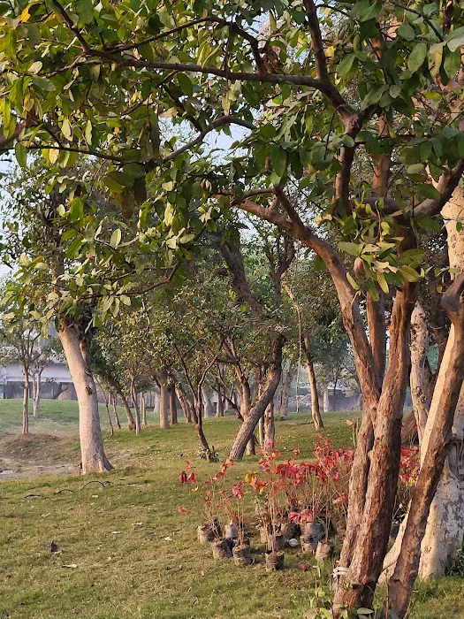 Yamuna vatiika - 1