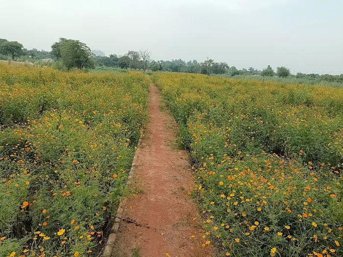 Yamuna vatiika - 9