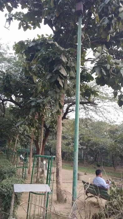 MCD Park - 0