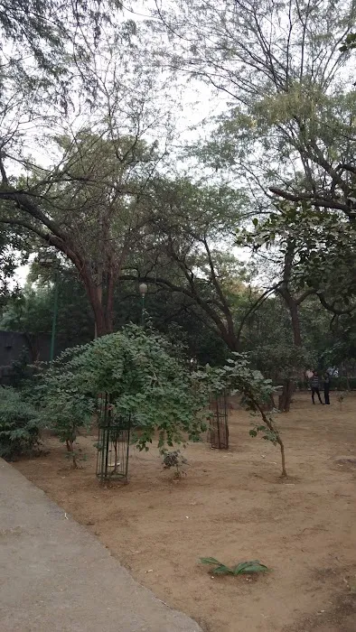 MCD Park - 2