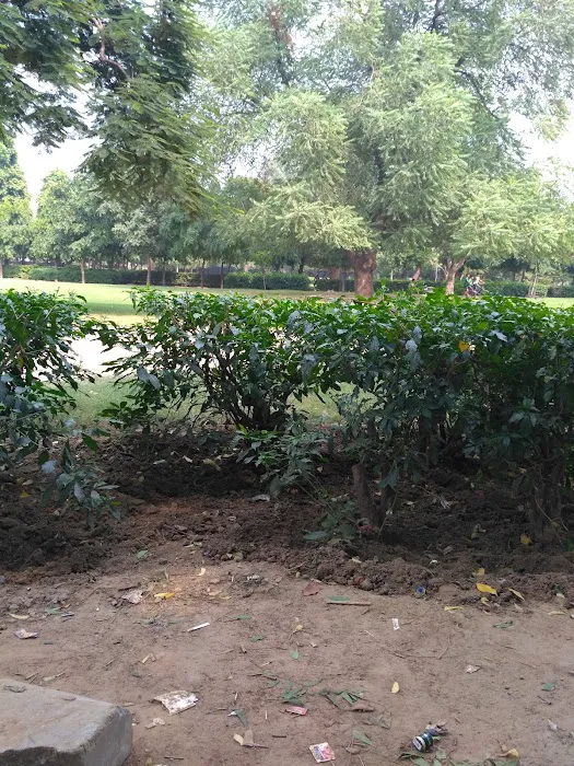 Ajay Ahuja Park - 1