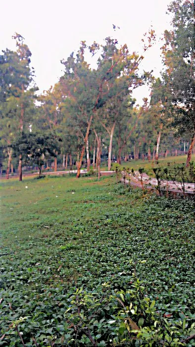 Indira Gandhi Mahila Park - 6