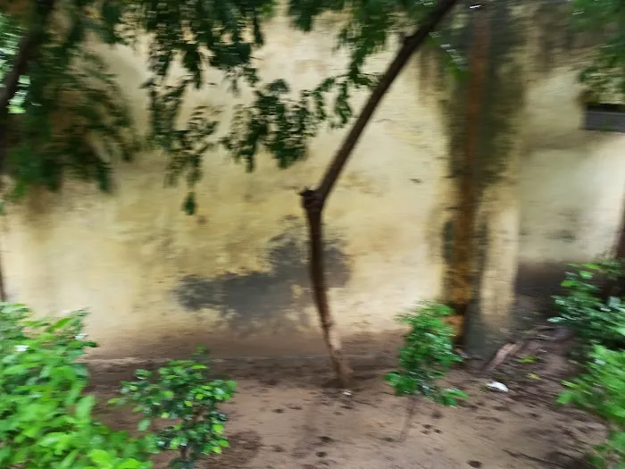 Mahavira Park - 3