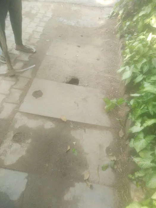 Green Park Extension Park K Block - 3
