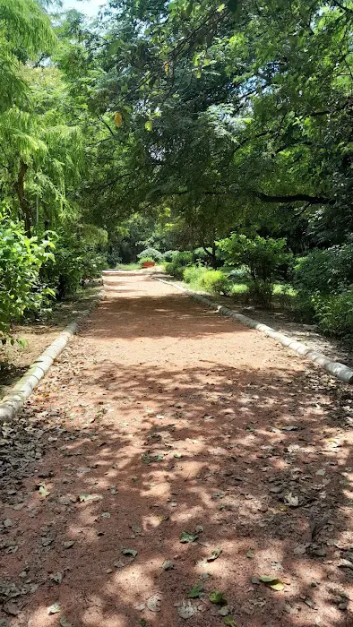 Katwaria Sarai Qutab Park - 1