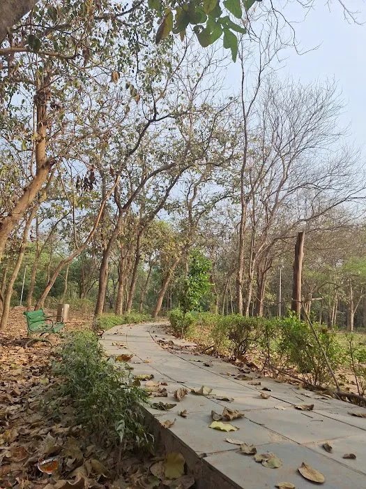 Katwaria Sarai Qutab Park - 8