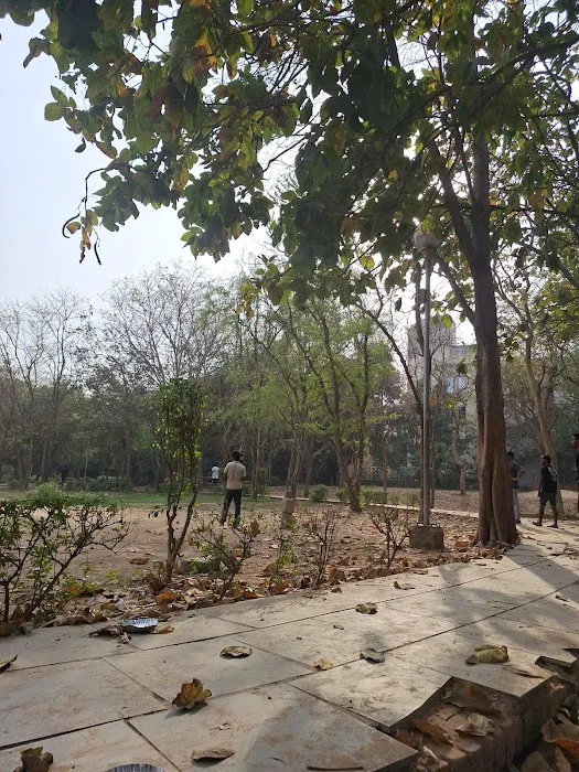 Katwaria Sarai Qutab Park - 6
