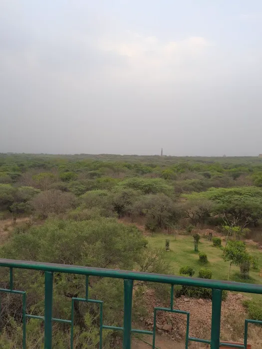 Katwaria Sarai Qutab Park - 7