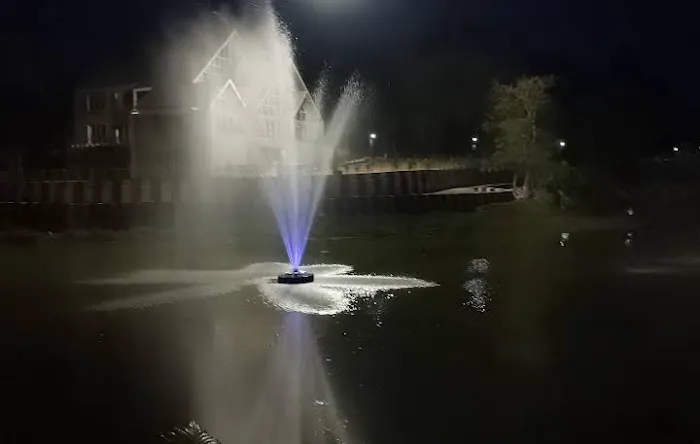 Musical Fountains - 1