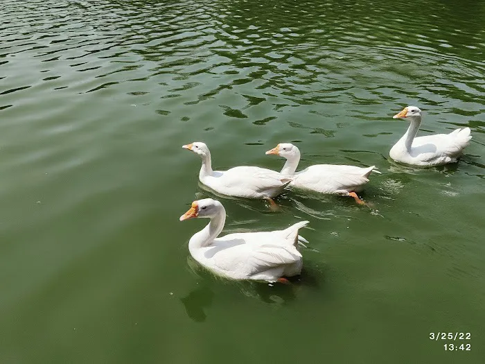 Jheel Park - 1