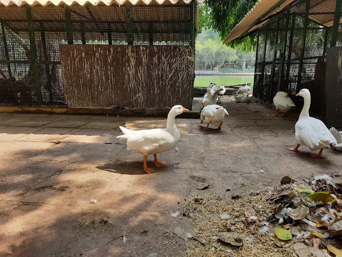 Jheel Park - 6