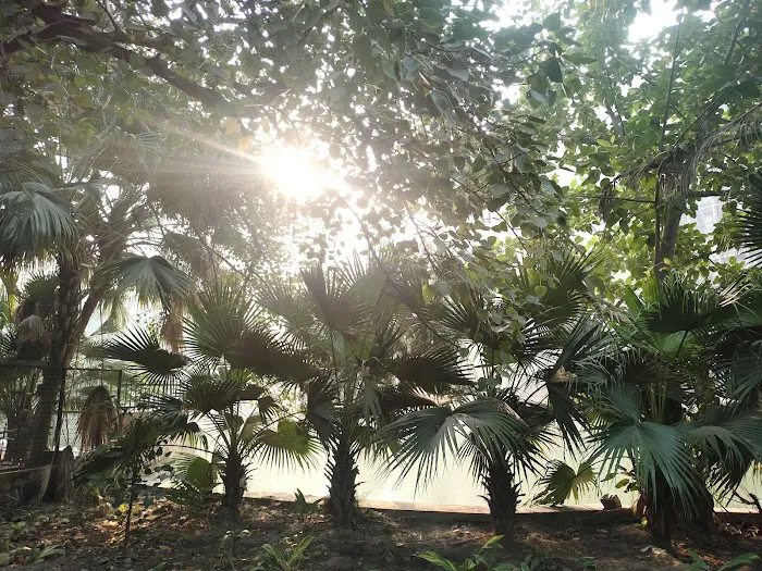 Jheel Park - 4