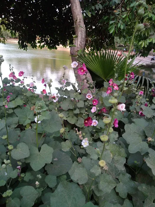 Jheel Park - 9