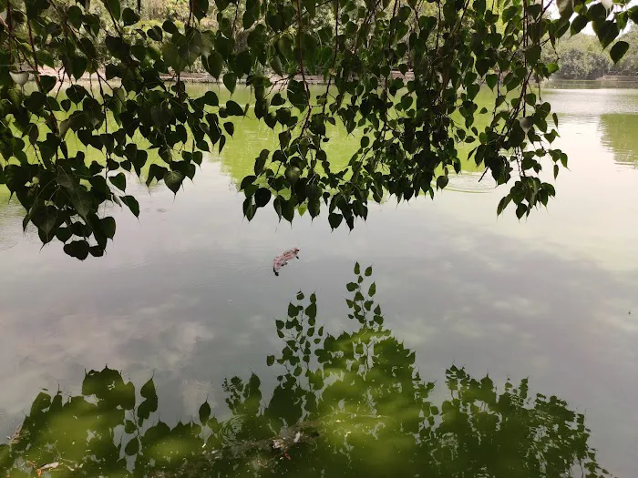 DDA LAKE - Entry Gate - 7