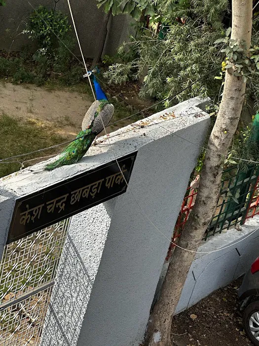 Chhabra Park - 4