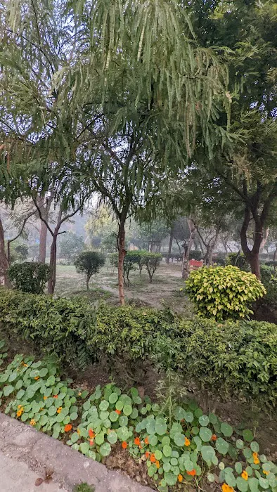 Anand Vihar Park - 4