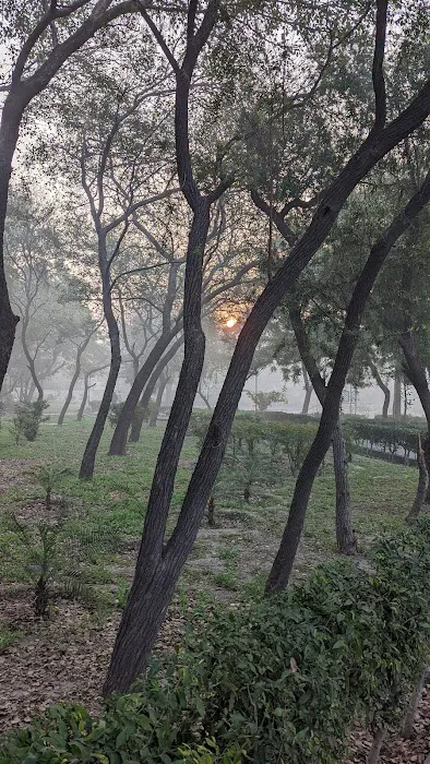Anand Vihar Park - 5