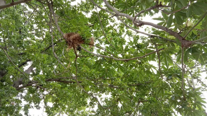 Pushpanjali Park - 6