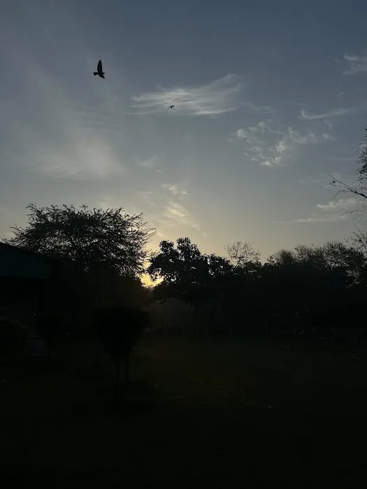 Pushpanjali Park - 8