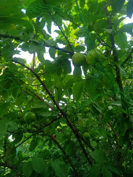 Bhagawan Mahaveer Park - 1