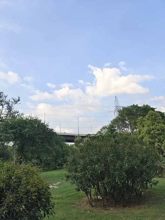 Jungpura B DDA Park - 3