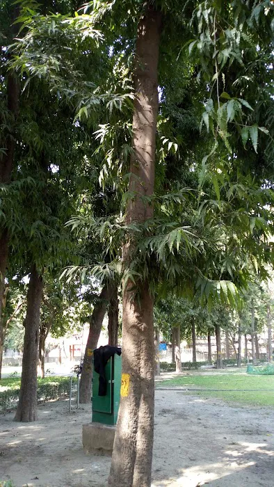 Raja Man Singh Chowk - 4