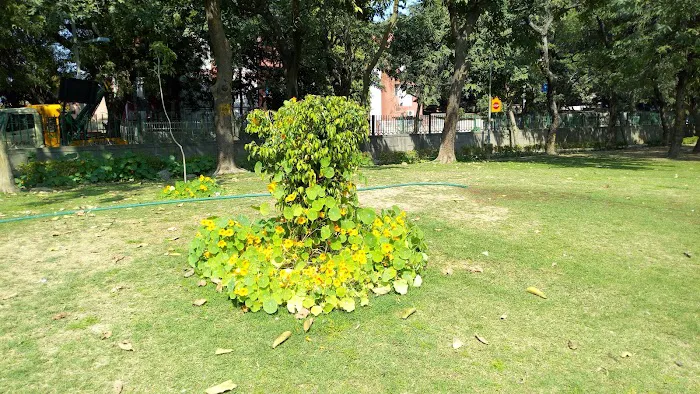 Raja Man Singh Chowk - 9
