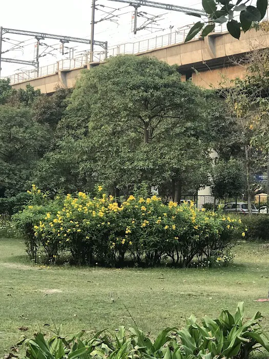 DDA park - 3
