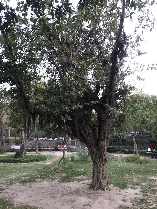 DDA Park (NHP) Jai Apartment - 1